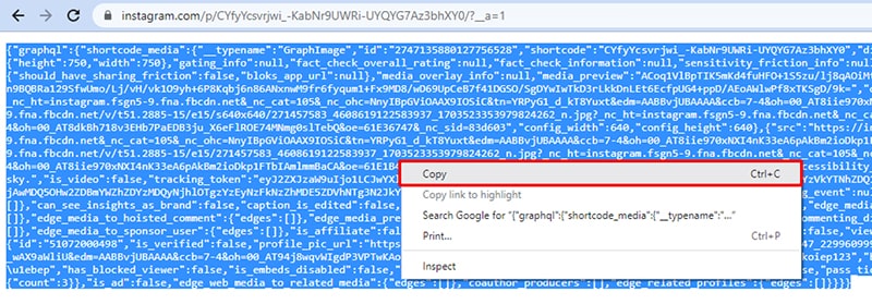 copy all instagram json data