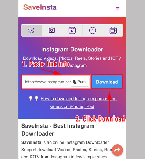 paste link into insaver